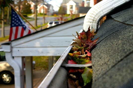 Gutter Cleaning Problems