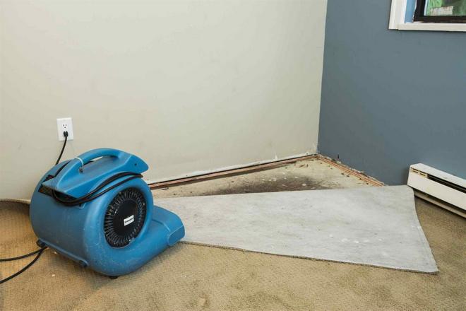 The True Cost of Water Damage