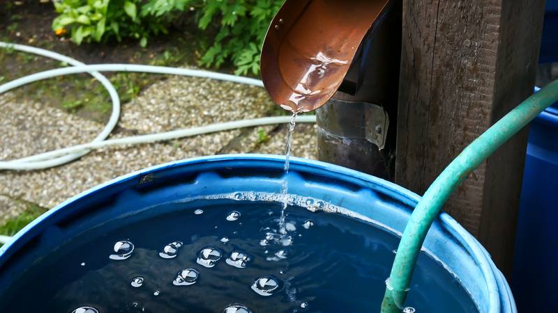 All About Rainwater Harvesting