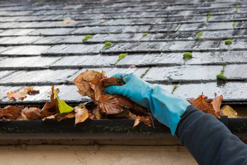 Obvious Signs That Your Gutters Need Cleaning