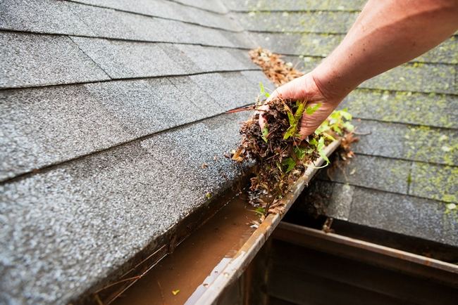 Man removing debris from gutters with algae growth on the roof.