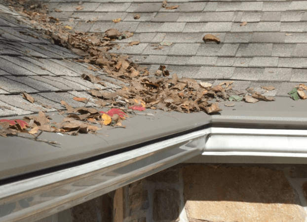 How Rain Gutter Guards Can Save You Thousands in Home Repairs