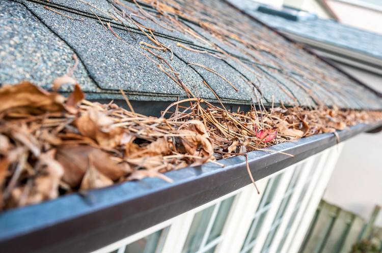 4 Tools to Make Cleaning Your Gutters Easier