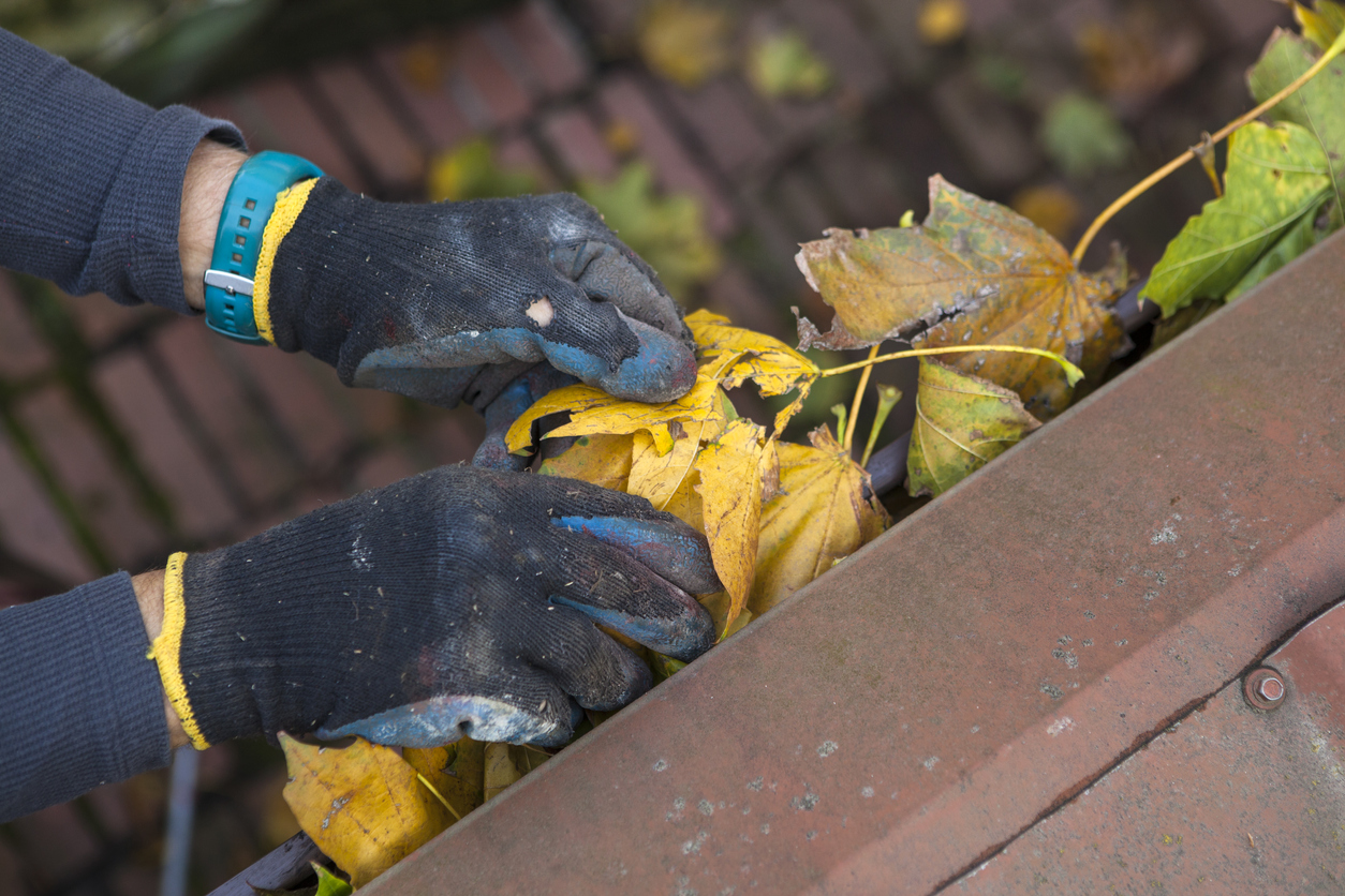 Gutter Cleaning: A Sign of the Fall Season