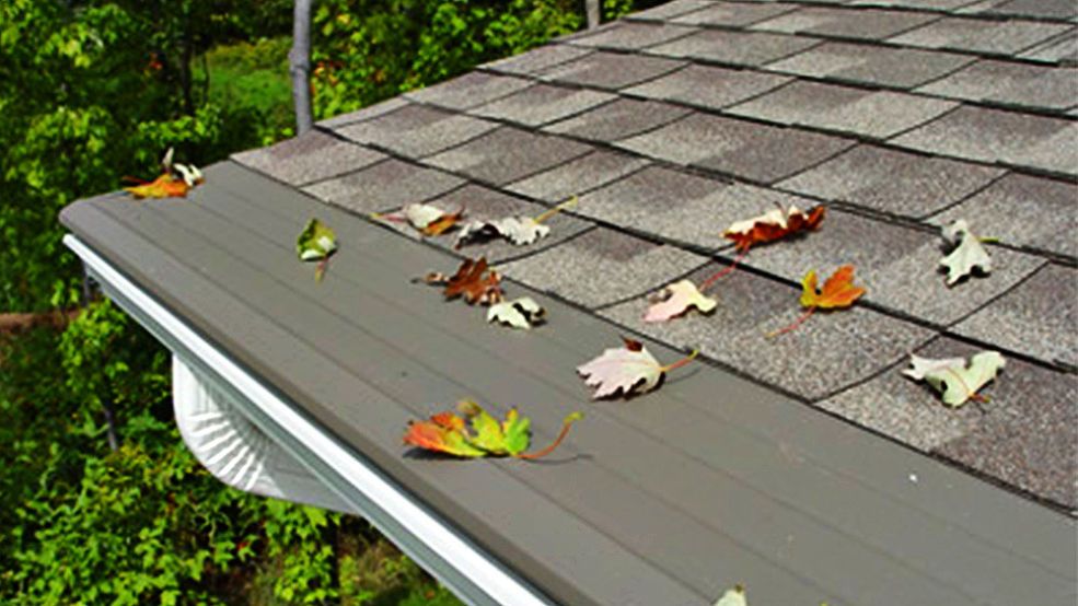 Improve the Value of Your Home With Gutter Leaf Guards