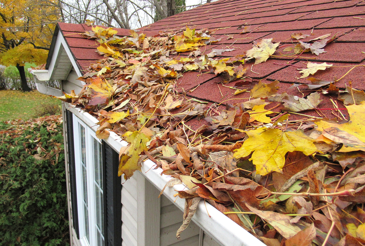 Early Fall Is a Great Time to Invest in the Best Gutter Protection
