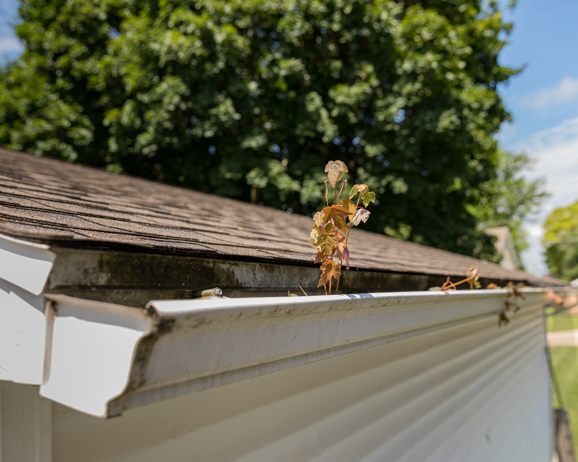 How Do I Know If My Gutters Are Clogged?