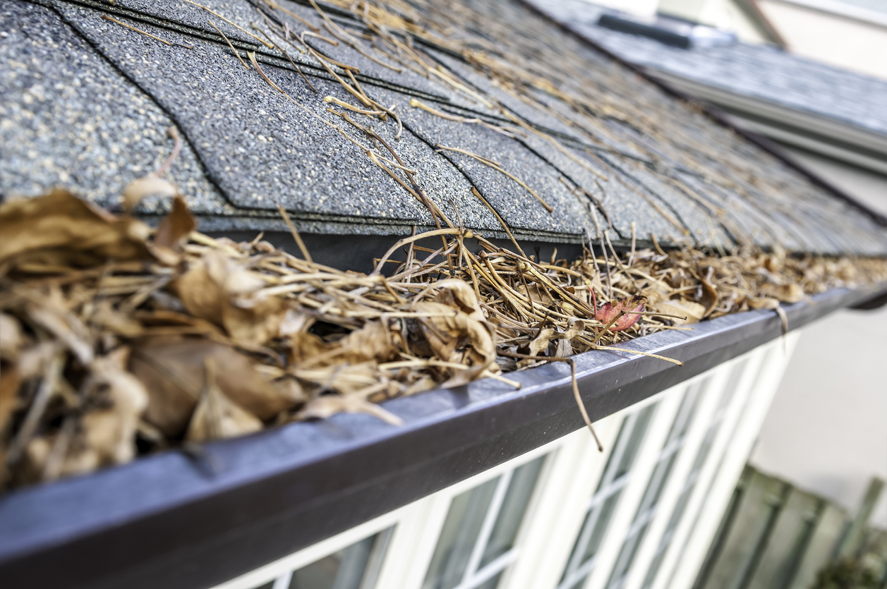 Why Gutter Screens Might Be More Hassle Than Cleaning Out Gutters
