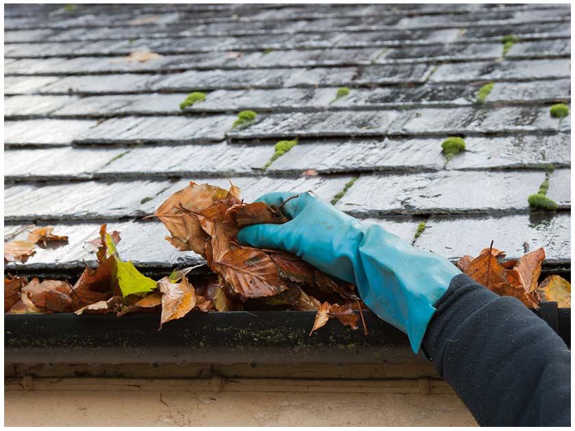 5 Essential Gutter Cleaning Tools