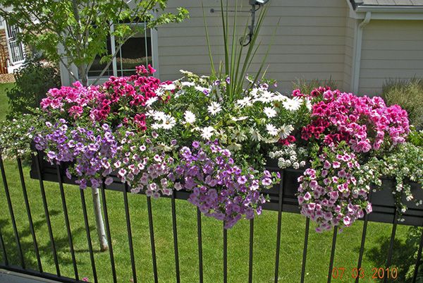 From Flowers to Gutter Guards: 5 Smart Deck & Exterior Upgrades