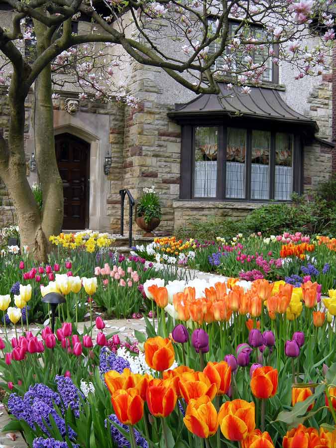 Preparing Your Home for Spring, Part 2