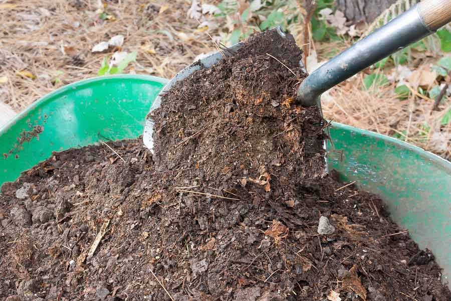 Put Fall Leaves to Work by Making Compost