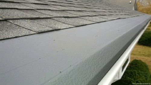 Gutter protection installed on a shingle roof