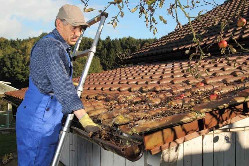 A professional removing leaves from clogged gutter