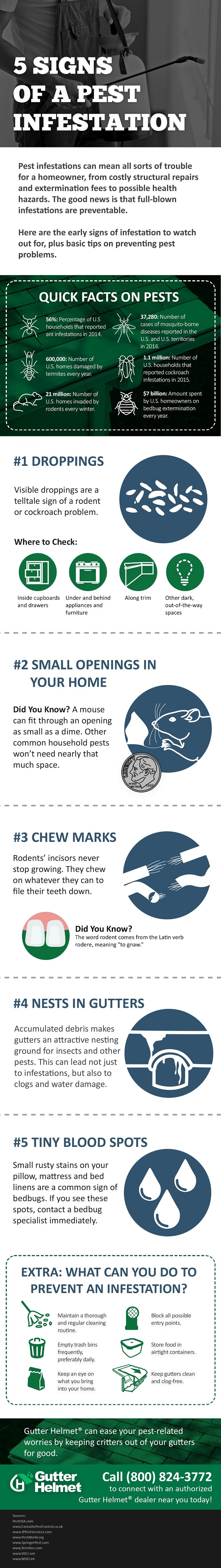 Infographics About 5 Signs Of Pest infestation