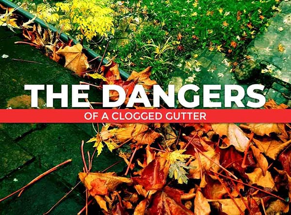 The Dangers of a Clogged Gutter