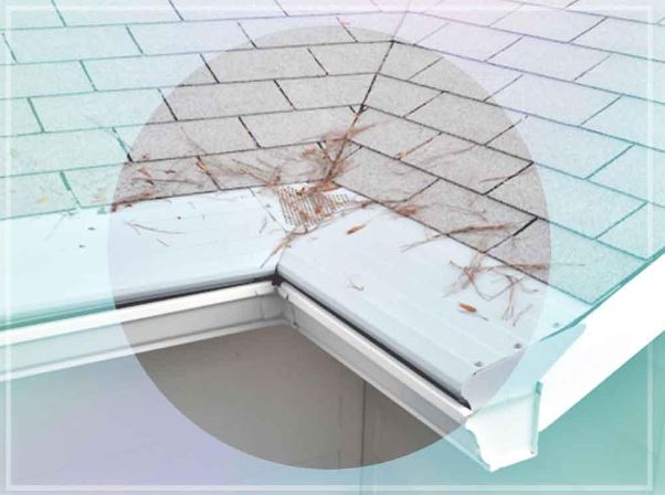 Gutter Helmet Helps Protects Home
