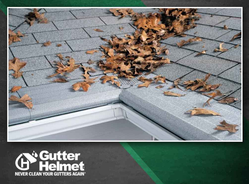 Why You Should Hire A Pro To Clean Your Gutters For You