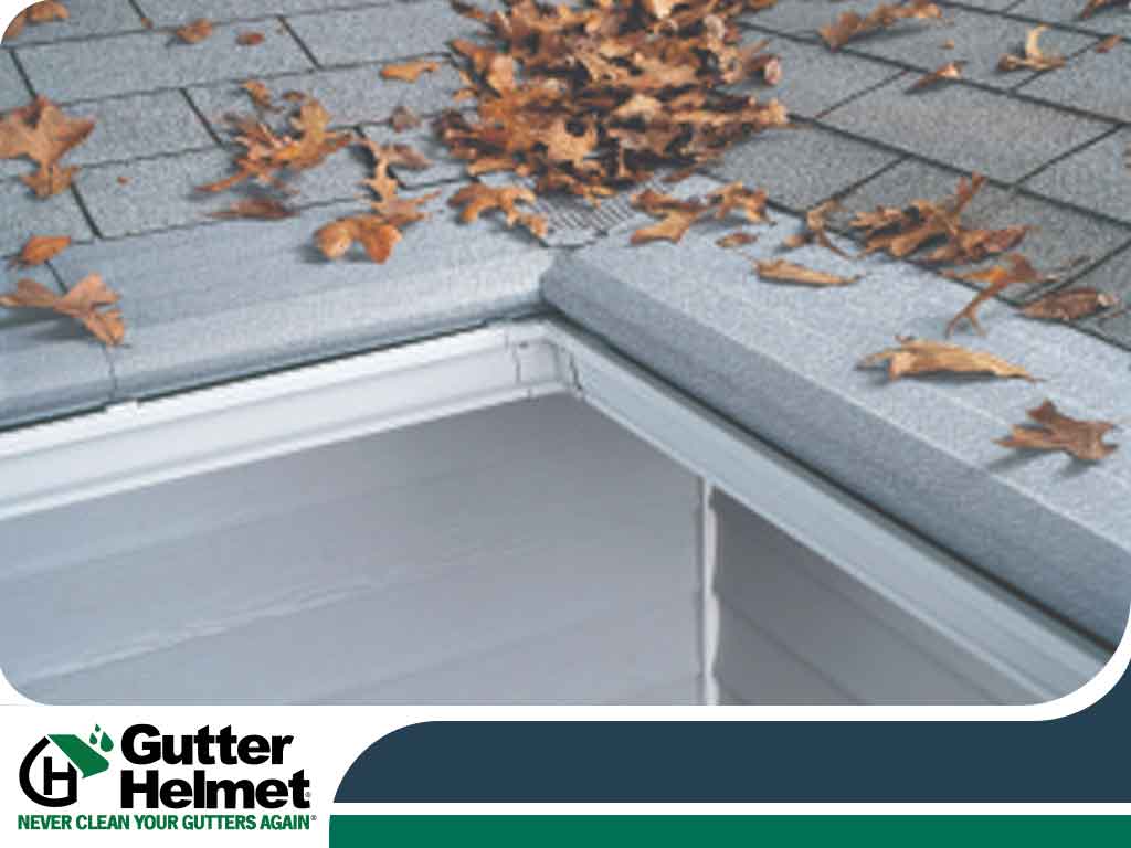 Do’s and Dont's of Gutter Maintenance