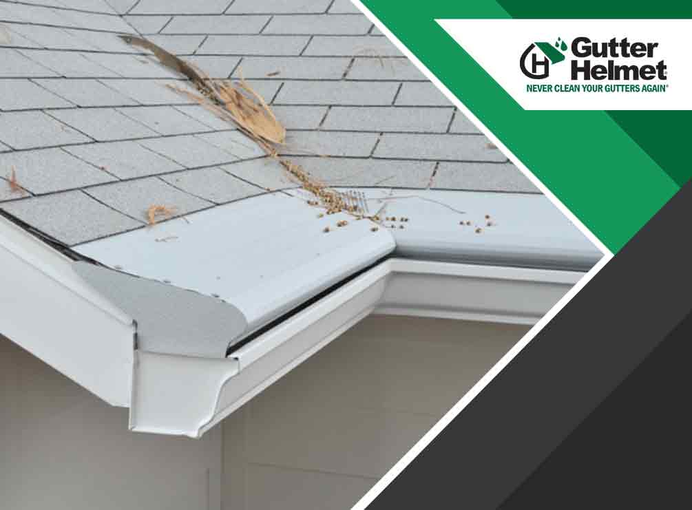 Understanding the Various Gutter Protection Options