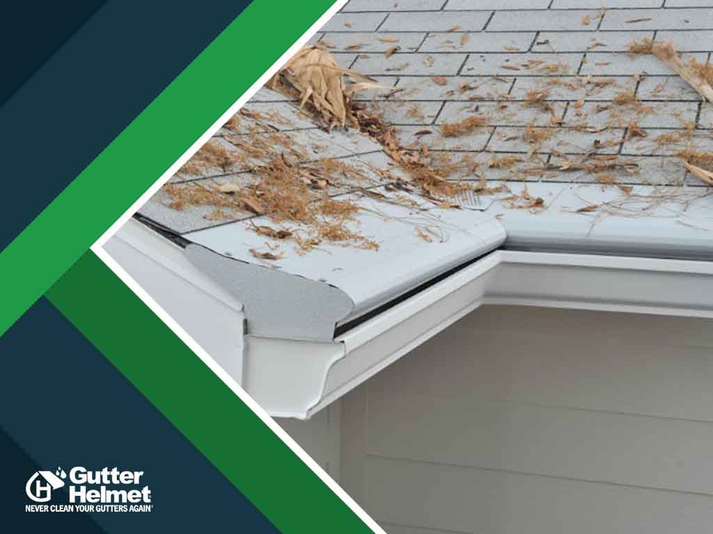 How Leaky and Clogged Gutters Can Damage Your Home