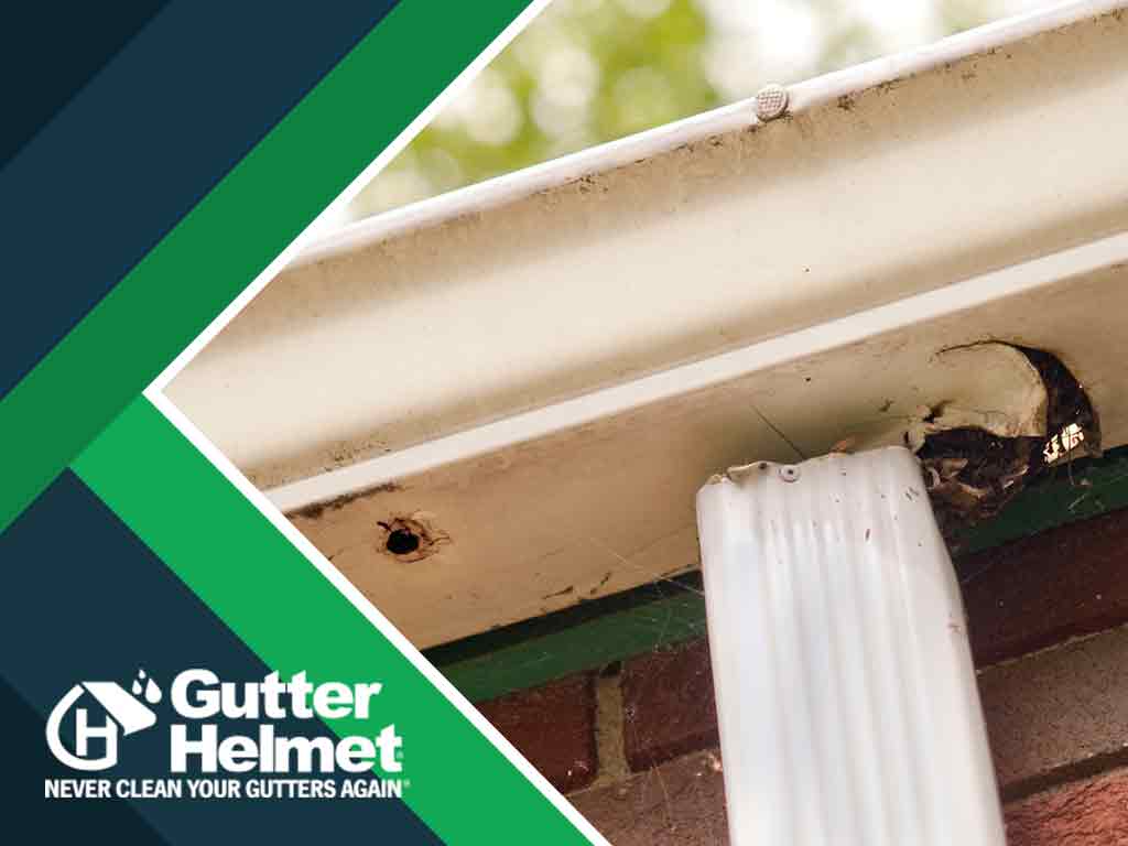 Common Problems Due To Lack Of Gutter Maintenance