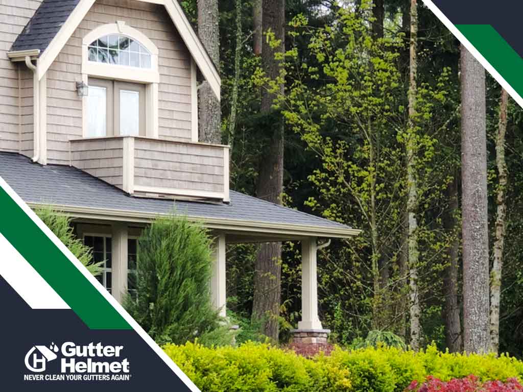 Can Trees Damage Your Gutters?