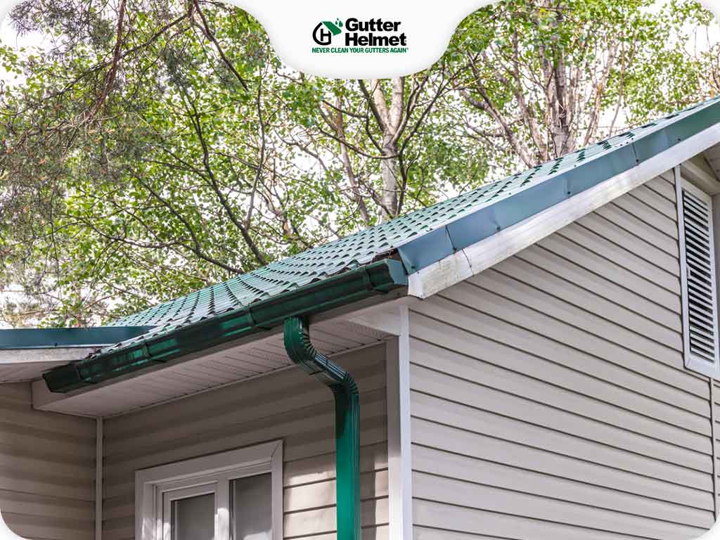 Are Your Trees Damaging Your Gutters?