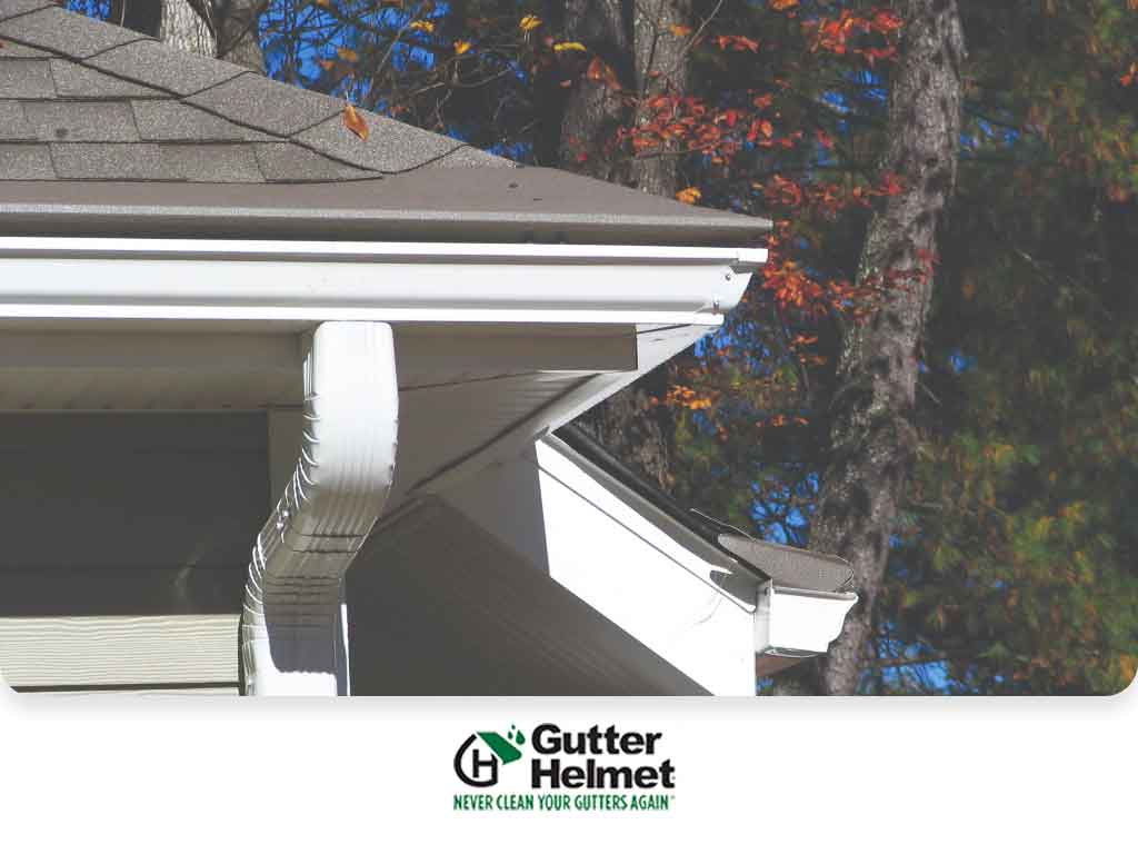 The 4 Questions You Should Ask When Assessing Your Gutters