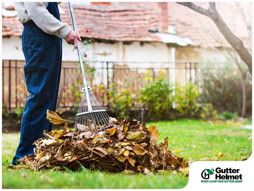 3 Practical Uses for Fallen Leaves