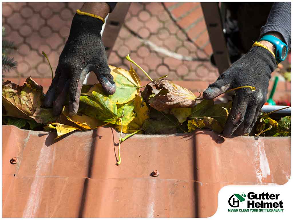 3 Things You Should Know Before Hiring a Gutter Cleaner