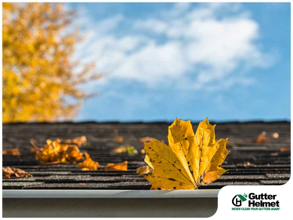Top 3 Uses for Fallen Leaves