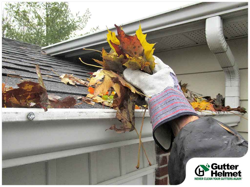 3 Important Things to Know When Hiring Gutter Cleaners