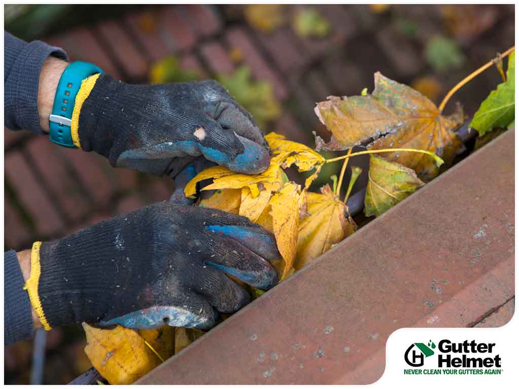 Should You Clean Your Gutters By Hand or Use Leaf Blowers?