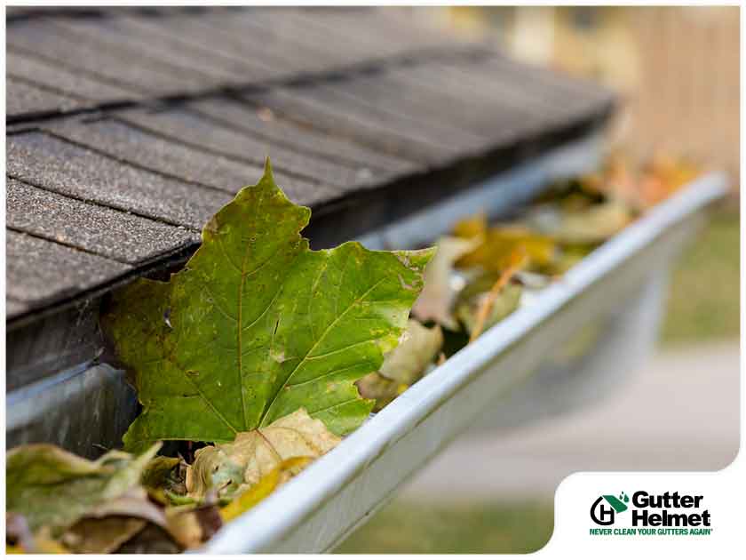 Fall and Winter Gutter Issues Caused by Poor Maintenance