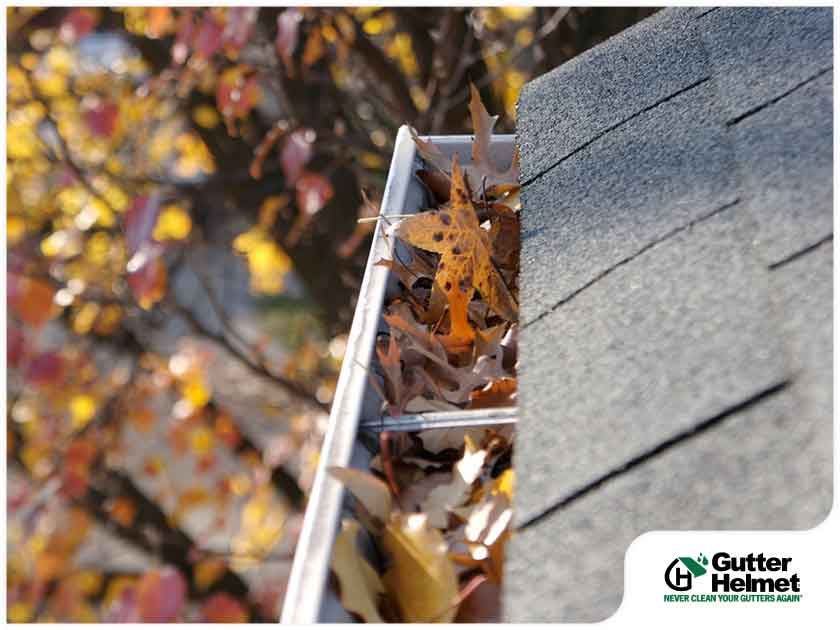 Gutter Problems in Fall and Winter