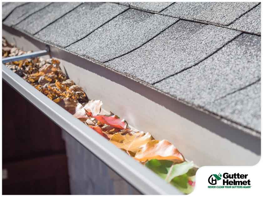 Gutter-Related Problems You May Face in Fall and Winter