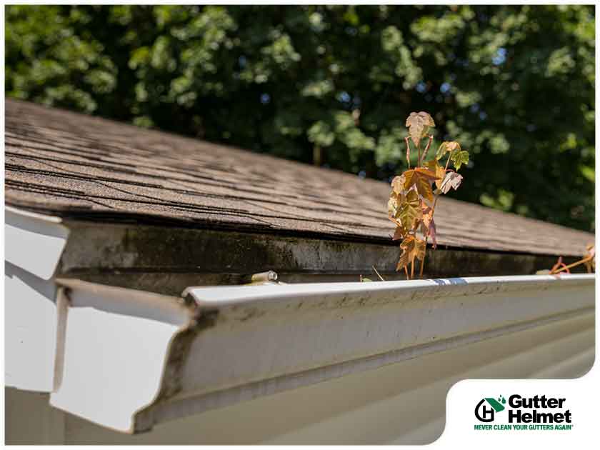 Common Mistakes That May Shorten Your Roof’s Lifespan