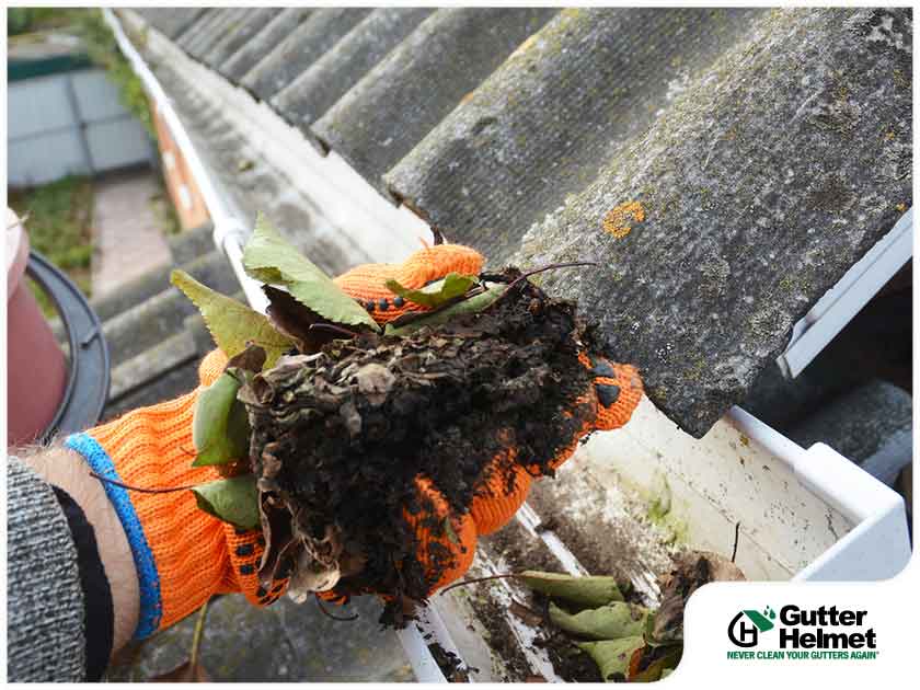 4 Common Gutter Cleaning Mistakes to Avoid