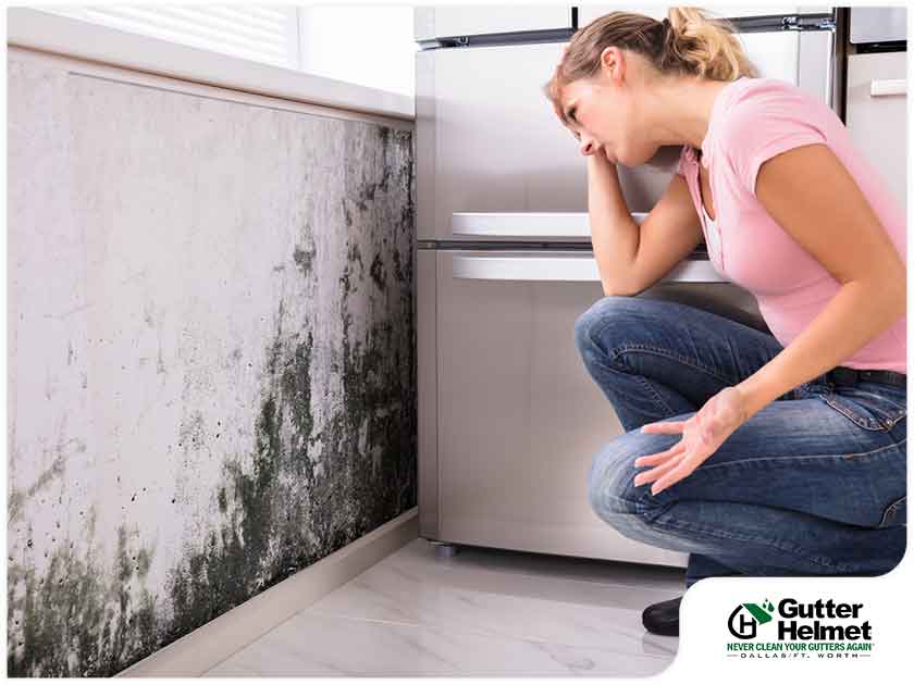 Helpful Tips to Prevent Mold and Mildew Growth in Winter