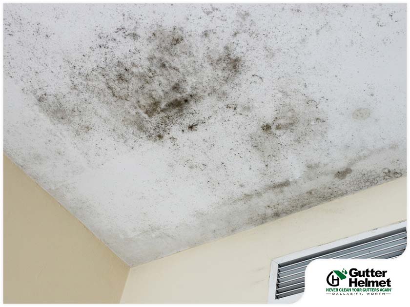 Ways to Prevent Mold and Mildew Growth This Winter