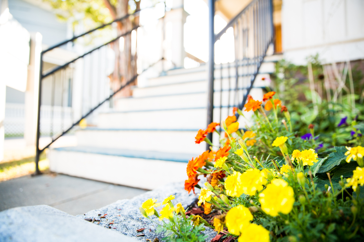 Spring Home Maintenance: What You Need to Know