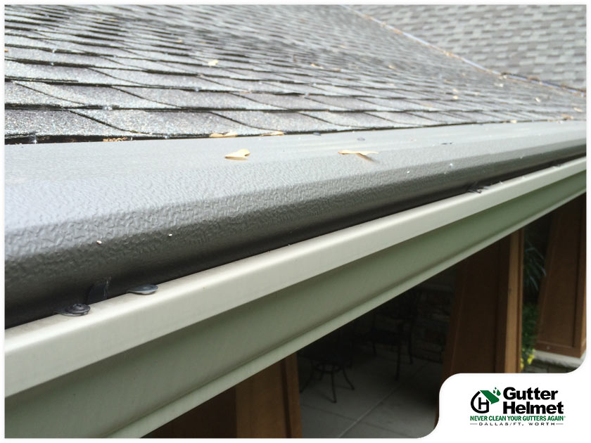 Protecting your gutters against pests