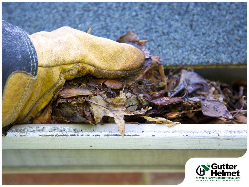What Usually Causes Your Gutters to Clog?