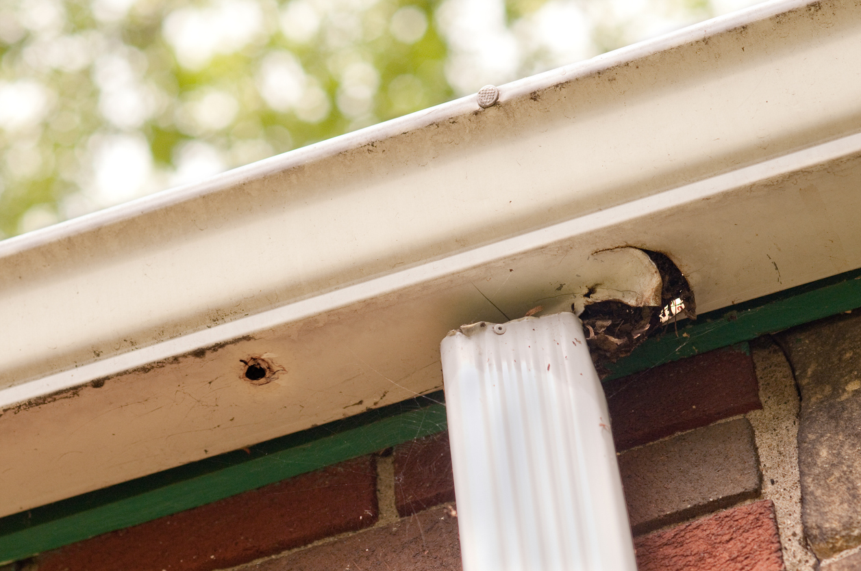 Common Signs Your Gutters Have Seen Better Days