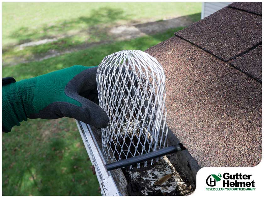 What You Should Know About Gutter Strainers