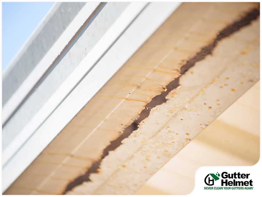Rusty Gutters: Can You Still Repair Them?