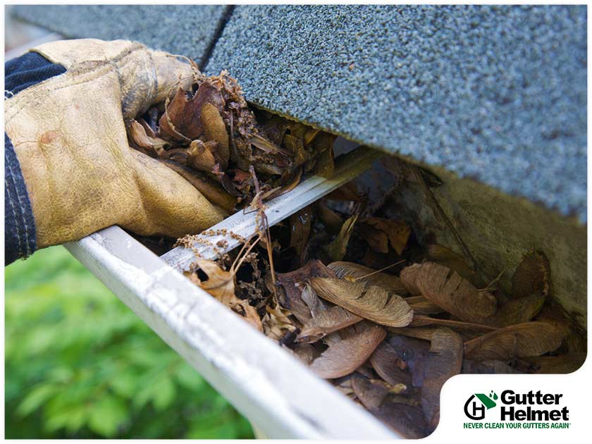 Gutter Cleaning: When Is the Best Time for One?