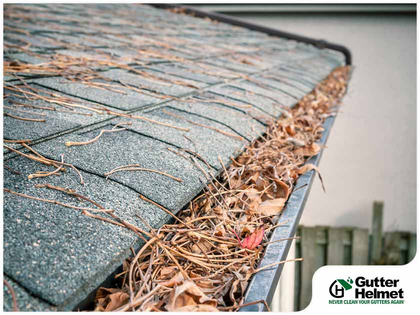 What Causes Your Gutters to Clog?