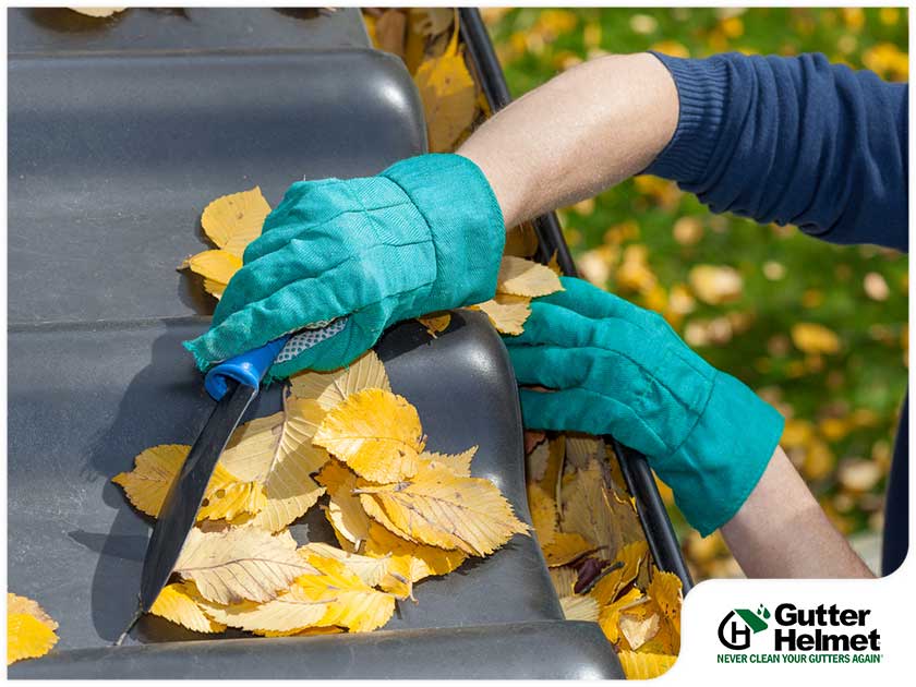 When Should You Have Your Gutters Cleaned This Fall?